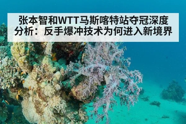 张本智和WTT马斯喀特站夺冠深度分析：反手爆冲技术为何进入新境界